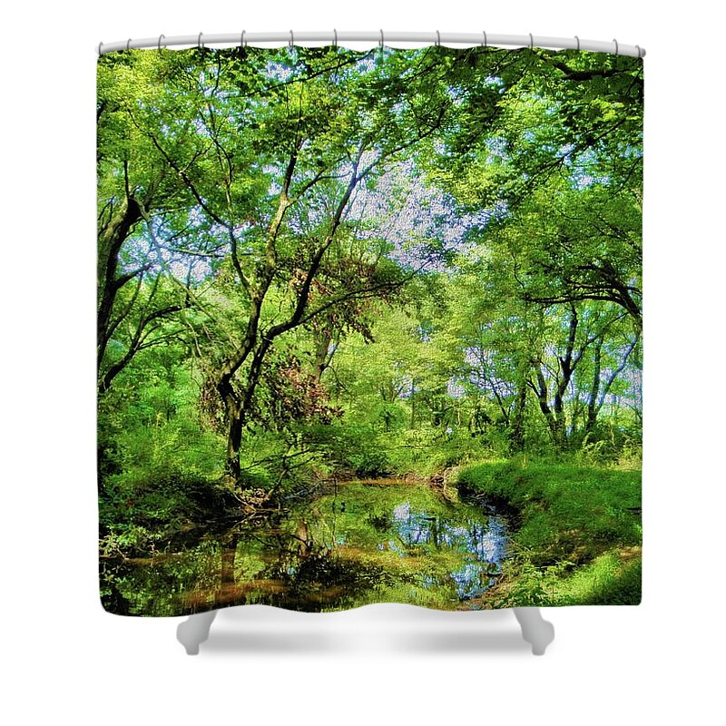 Spring Shower Curtain featuring the photograph Beautiful Spring Day by Natalie Holland
