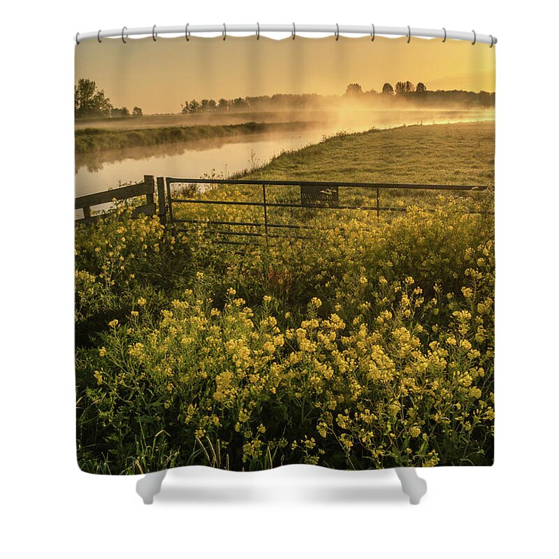 Yellow Shower Curtain featuring the photograph Beautiful wild flowers on a grassland in the Netherlands at sunrise by Anges Van der Logt