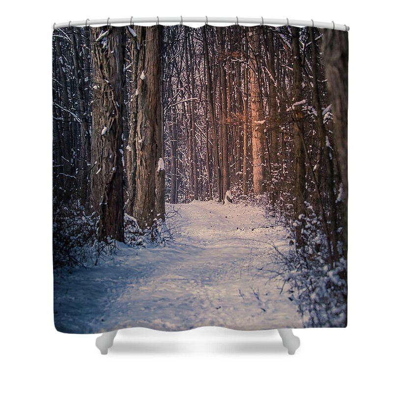 Beautiful Winter Path In The Forest Shower Curtain featuring the photograph Beautiful Winter Path In The Forest by Dan Sproul