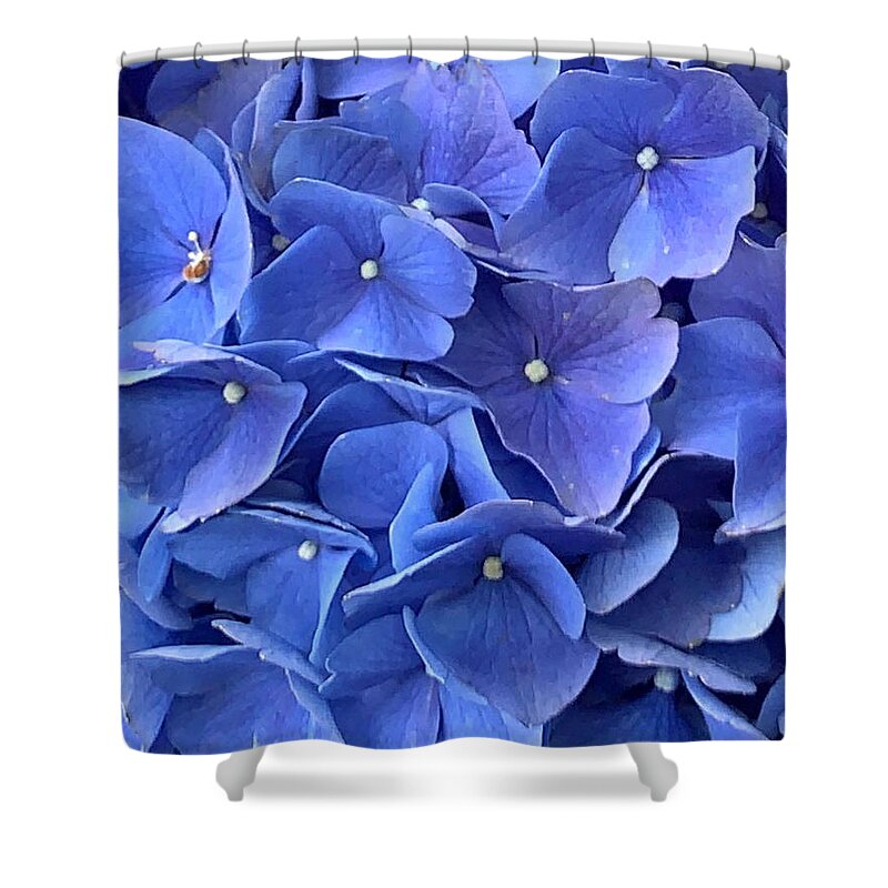 Flower Shower Curtain featuring the photograph Beauty in Blue by Lee Darnell