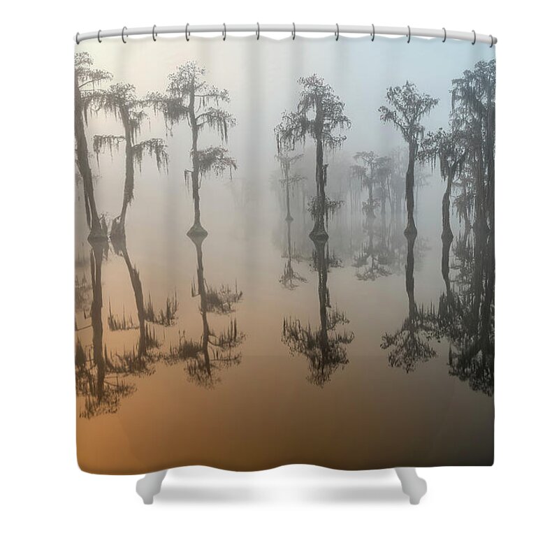 Fog Shower Curtain featuring the photograph Beauty In The Fog 2 by DB Hayes