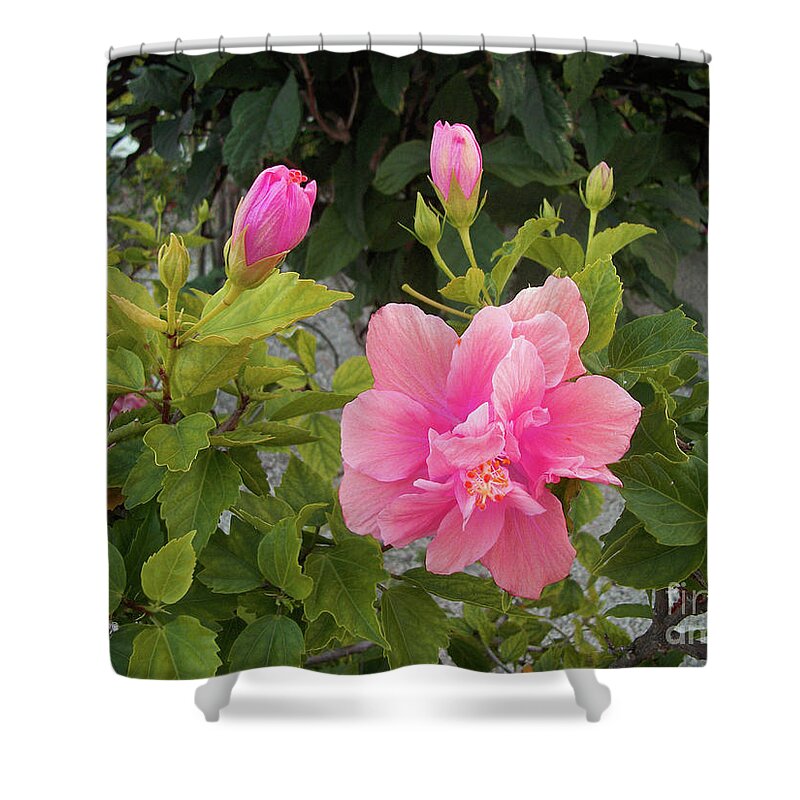 Nature Shower Curtain featuring the photograph Beauty of Breath by Mary Mikawoz