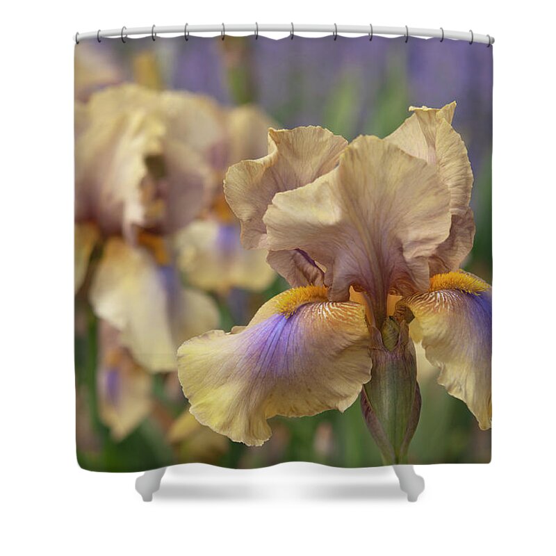 Jenny Rainbow Fine Art Photography Shower Curtain featuring the photograph Beauty Of Irises. Mystery Time 1 by Jenny Rainbow