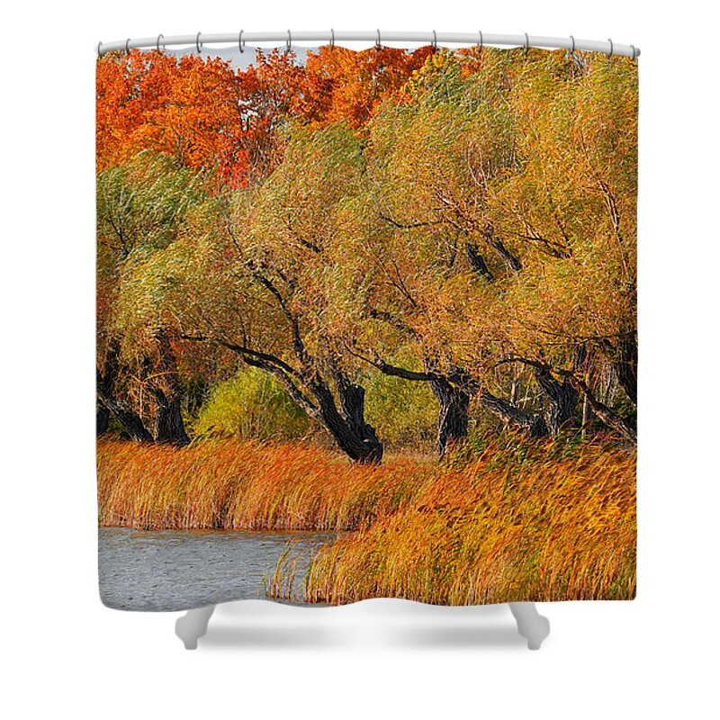 Leaves Shower Curtain featuring the photograph Beauty of WNY Trees by fototaker Tony