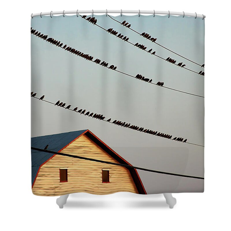 Bed Time Shower Curtain featuring the photograph Bedtime in Quebec, Canada by Tatiana Travelways