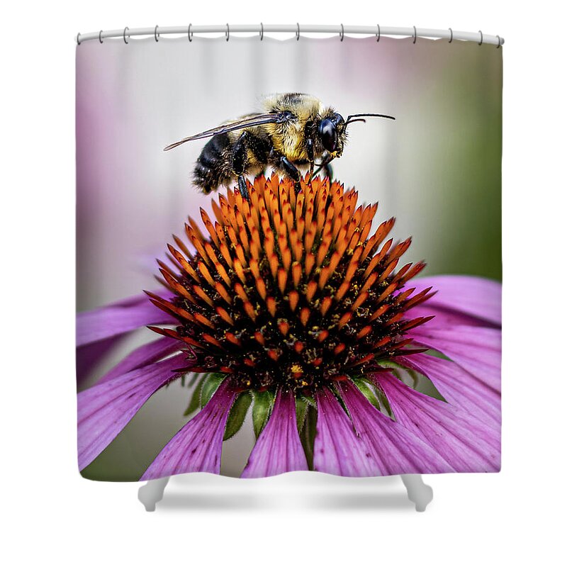 Bee Shower Curtain featuring the photograph Bee claiming the flower by Rick Nelson