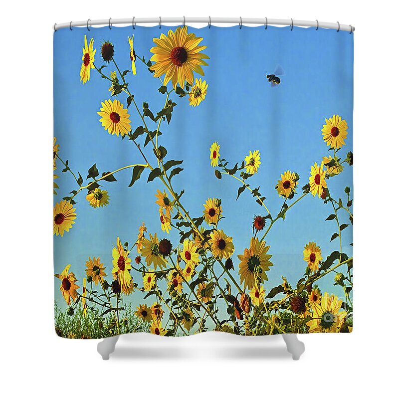 Bee Shower Curtain featuring the photograph Bee Leave In Summer, Sunflowers, The Happy Flower by Don Schimmel