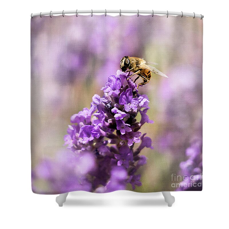 Bee Shower Curtain featuring the photograph Bee line by Gillian Singleton