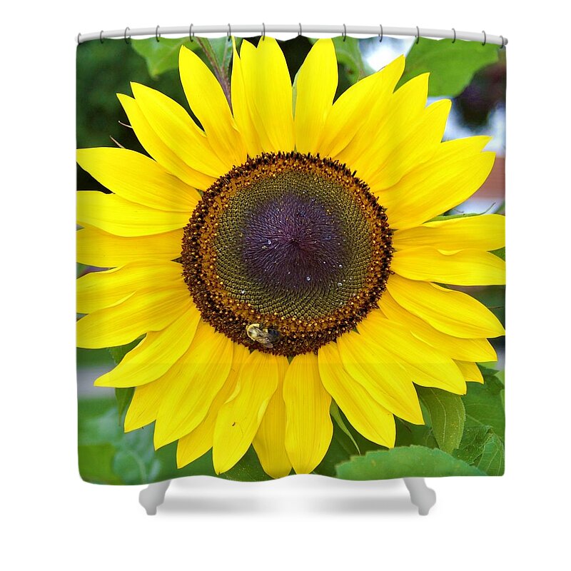 Orange Shower Curtain featuring the photograph Bee on Sunflower 8 by James Cousineau