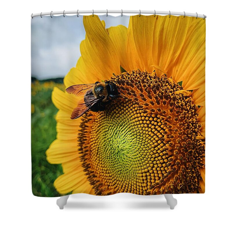 Bee Shower Curtain featuring the photograph Bee on Sunflower by Rick Nelson