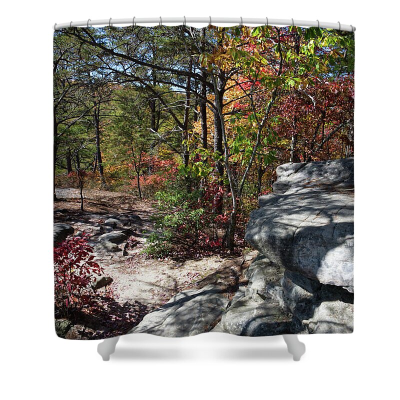 View Shower Curtain featuring the photograph Bee Rock Overlook 18 by Phil Perkins