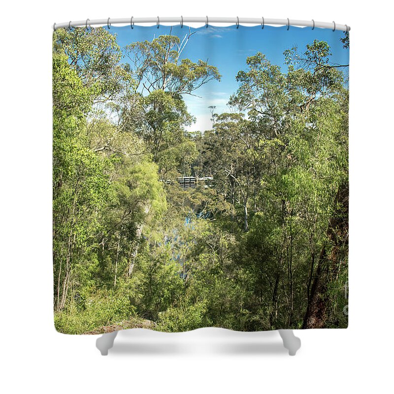 Beedelup National Park Shower Curtain featuring the photograph Beedelup National Park, Pemberton, Western Australia by Elaine Teague
