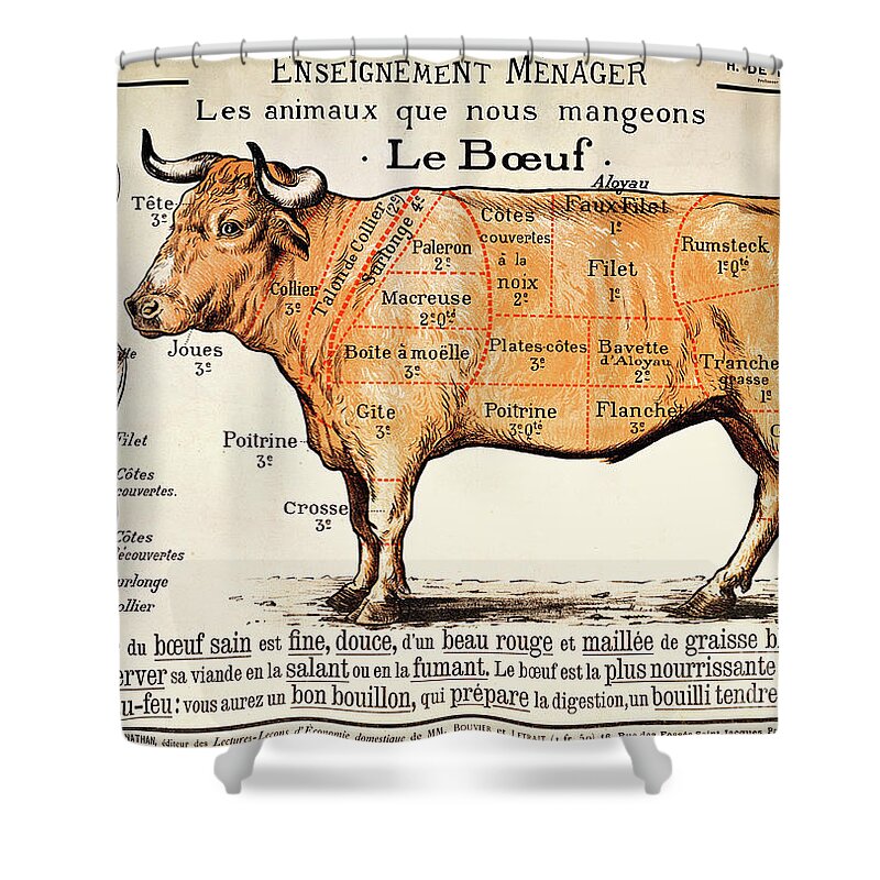 Le Boeuf; Cow; Cut; Joint; Food; Animal; Butchering Shower Curtain featuring the drawing Beef by French School