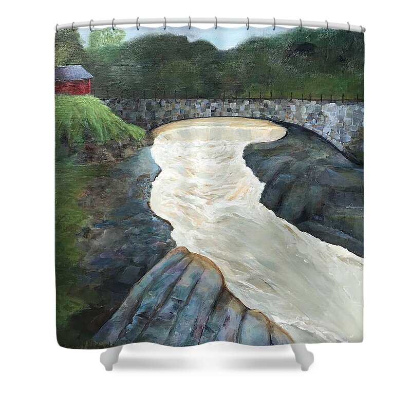 Stream Shower Curtain featuring the painting Bellows Falls VT by Deborah Naves