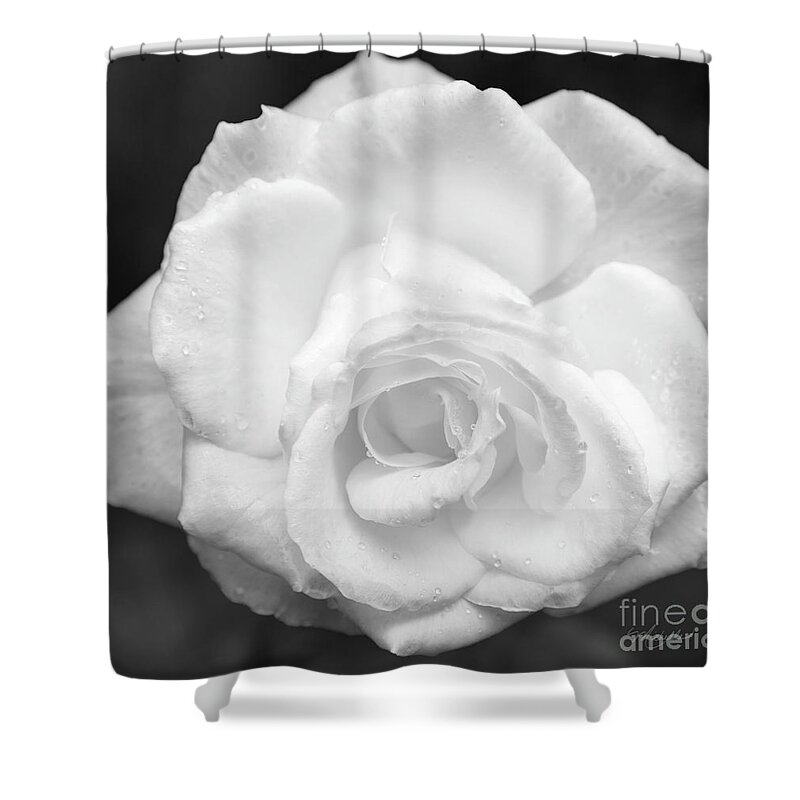 Beloved Shower Curtain featuring the photograph Beloved by Michelle Constantine