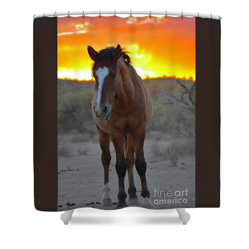 Salt River Wild Horses Shower Curtain featuring the digital art Beloved by Tammy Keyes