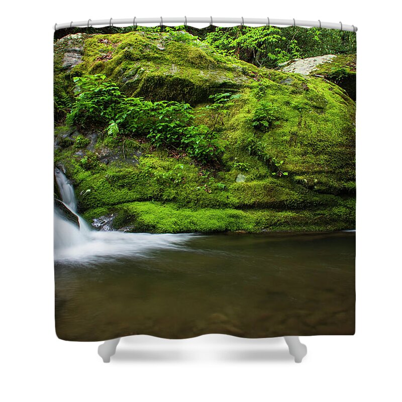 Great Smoky Mountains National Park Shower Curtain featuring the photograph Below 1000 Drips 2 by Melissa Southern