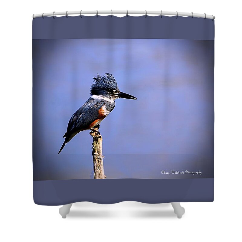 Birds Shower Curtain featuring the photograph Belted Kingfisher by Mary Walchuck