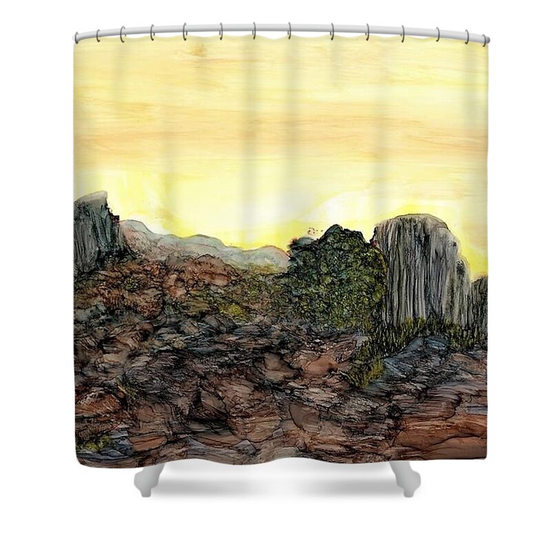 Rock Shower Curtain featuring the painting Between a rock and an arroyo by Angela Marinari