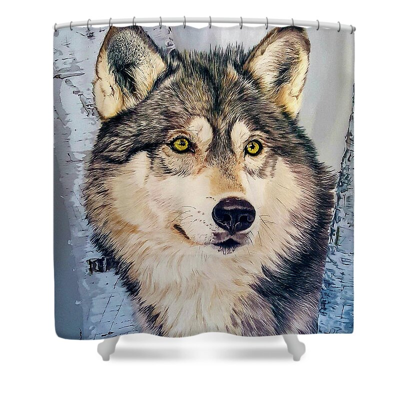 Wolf Shower Curtain featuring the drawing Between the Birches by Kelly Speros