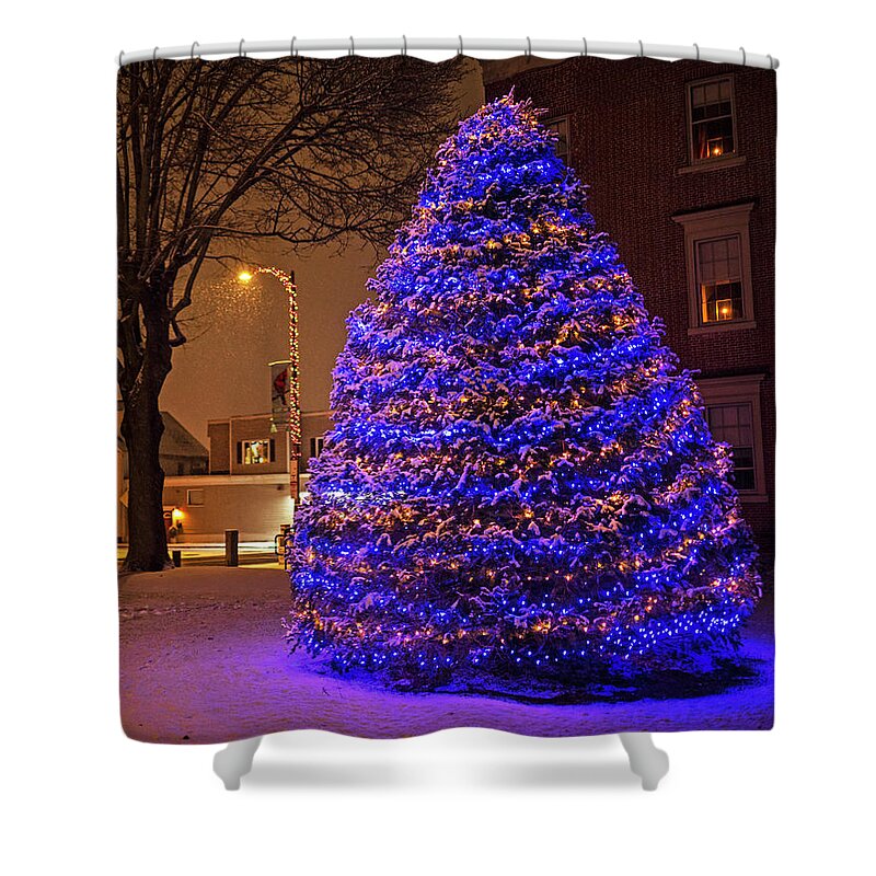 Beverly Shower Curtain featuring the photograph Beverly MA Christmas Tree Downtown Beverly Cabot Street Winter Snowstorm by Toby McGuire