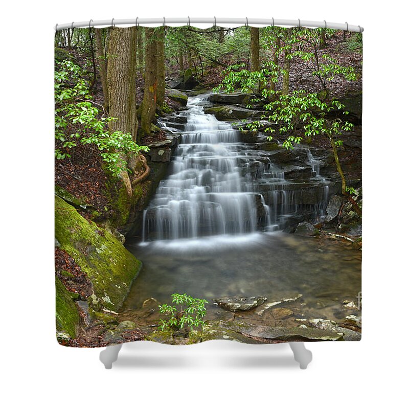 Big Branch Falls Shower Curtain featuring the photograph Big Branch Falls 1 by Phil Perkins