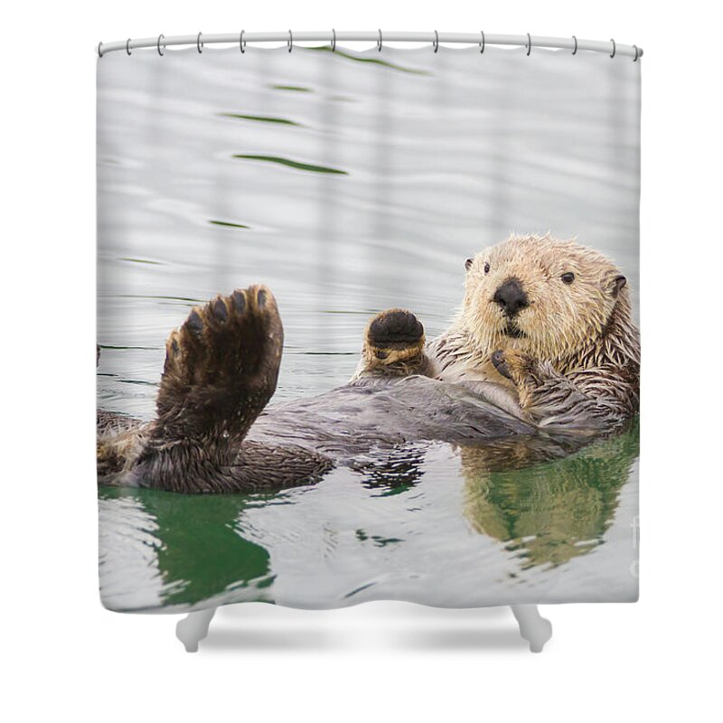Otter Shower Curtain featuring the photograph Big Foot by Chris Scroggins