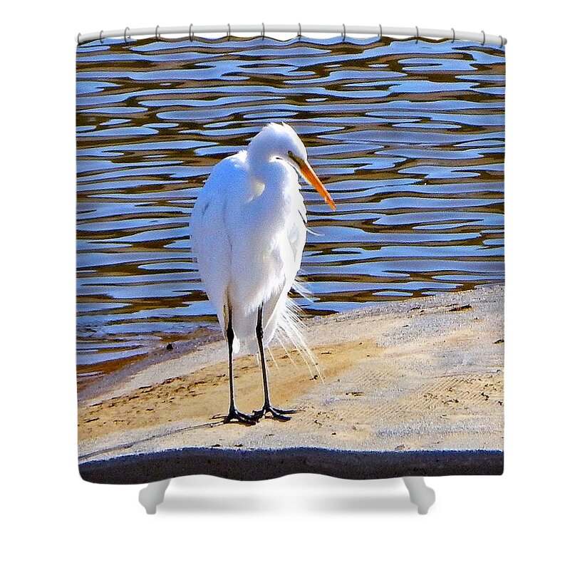 Egret Shower Curtain featuring the photograph Big Tall Bird by Andrew Lawrence