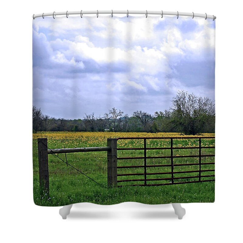 Yellow Wildflowers Shower Curtain featuring the photograph Big Texas Sky by Connie Fox