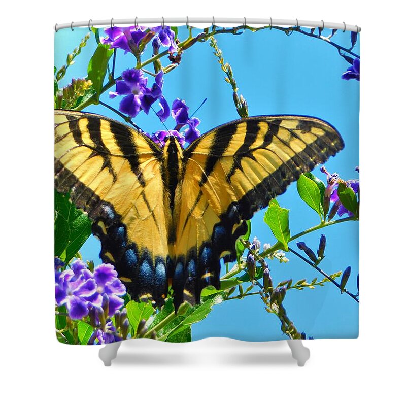 Landscape Shower Curtain featuring the photograph Big Yellow 5 by Gena Herro