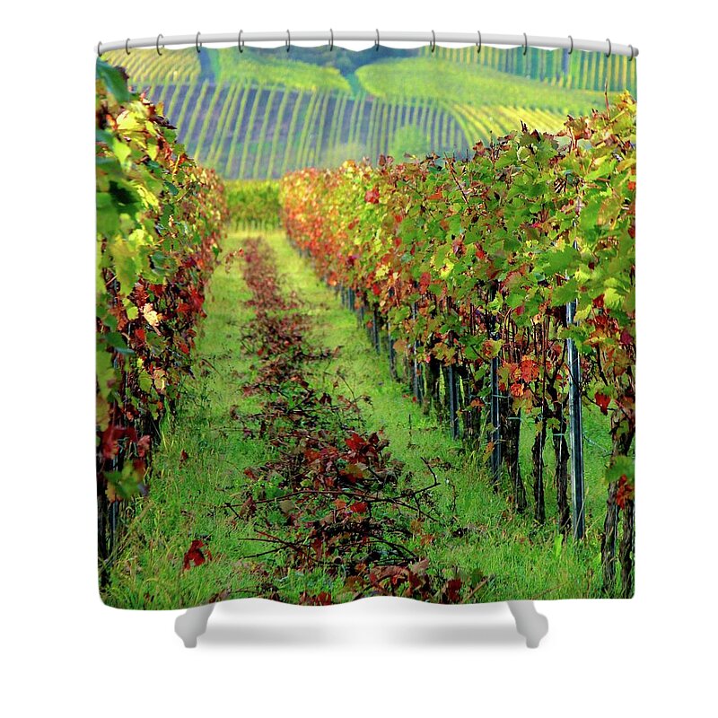 Vineyard Shower Curtain featuring the photograph Biking through Germany by Dorsey Northrup
