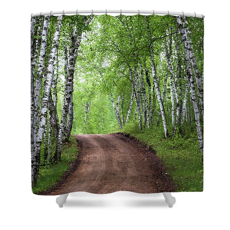 Trees Shower Curtain featuring the photograph Birch Tree Forest Path #3 by Patti Deters