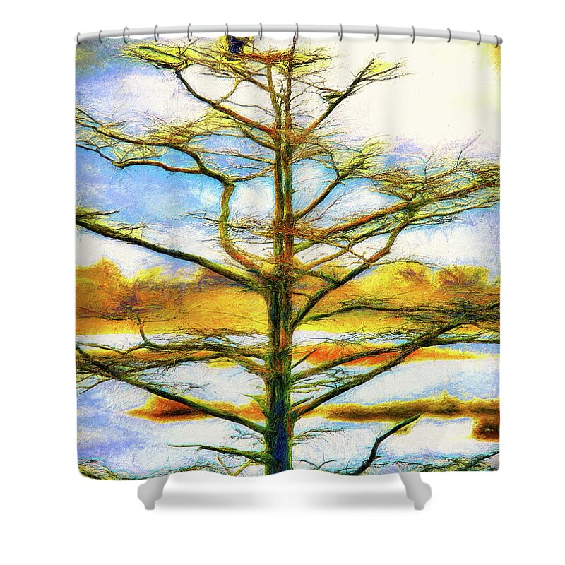 North Carolina Shower Curtain featuring the painting Bird in a Tree Outer Banks ap by Dan Carmichael