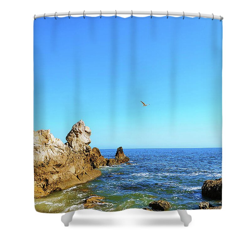 Ocean Shower Curtain featuring the photograph Bird in the Sky at the Beach by Marcus Jones