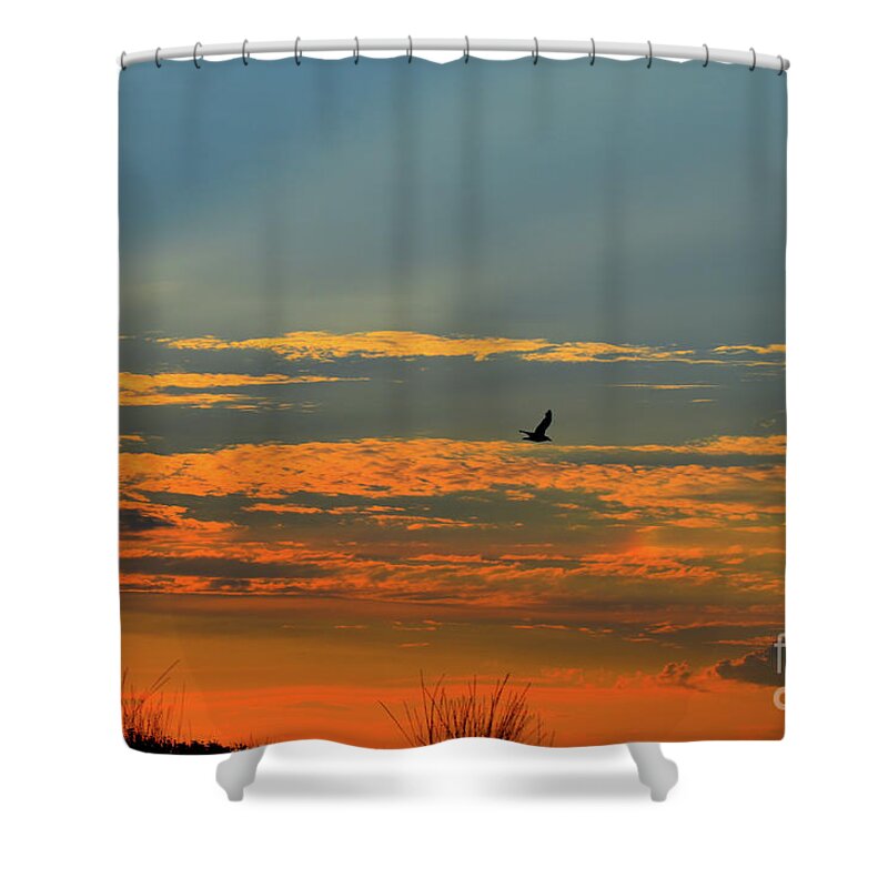 Soul Shower Curtain featuring the photograph Bird of The Soul And The Sunset by Leonida Arte