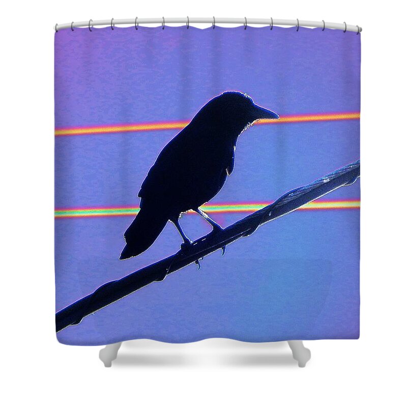 Bird Shower Curtain featuring the photograph Bird On A Wire - Blue by Andrew Lawrence