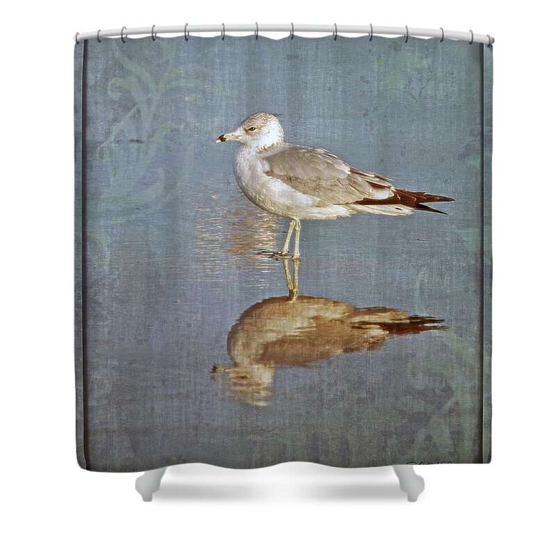 Fine Art Shower Curtain featuring the photograph Bird Reflection by Shara Abel