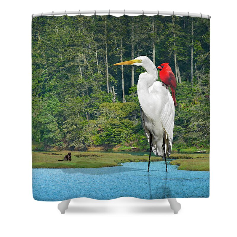 Surreal Birds Snowy Egret White Red Cardinal Black Cat Stalking Watching Waiting Woods Estuary Water Trees Surrealistic Surrealism Digital Photograph Fantasy Digital Art Unreal Beyond Real Unusual Unearthly Uncanny Dreamlike Dreamscape Retouched Photoshop Edited Curious Imagination Make-believe Creative Creativity Vision Daydream Fanciful Illusion Original Mind's Eye Shower Curtain featuring the photograph Bird Watcher by Perry Hambright