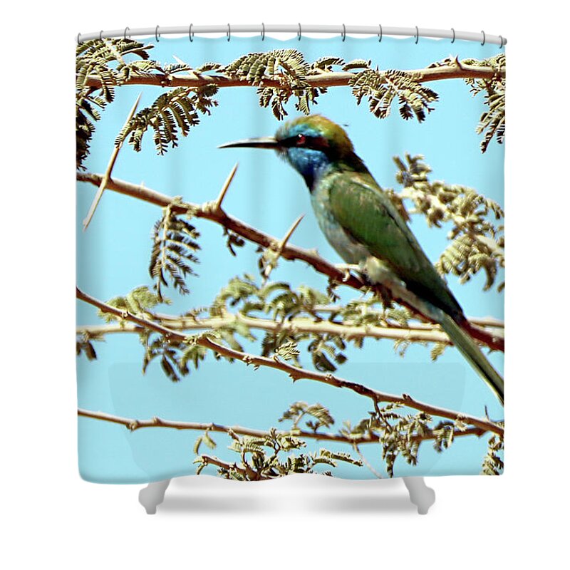  Shower Curtain featuring the photograph Birds 39 by Eric Pengelly