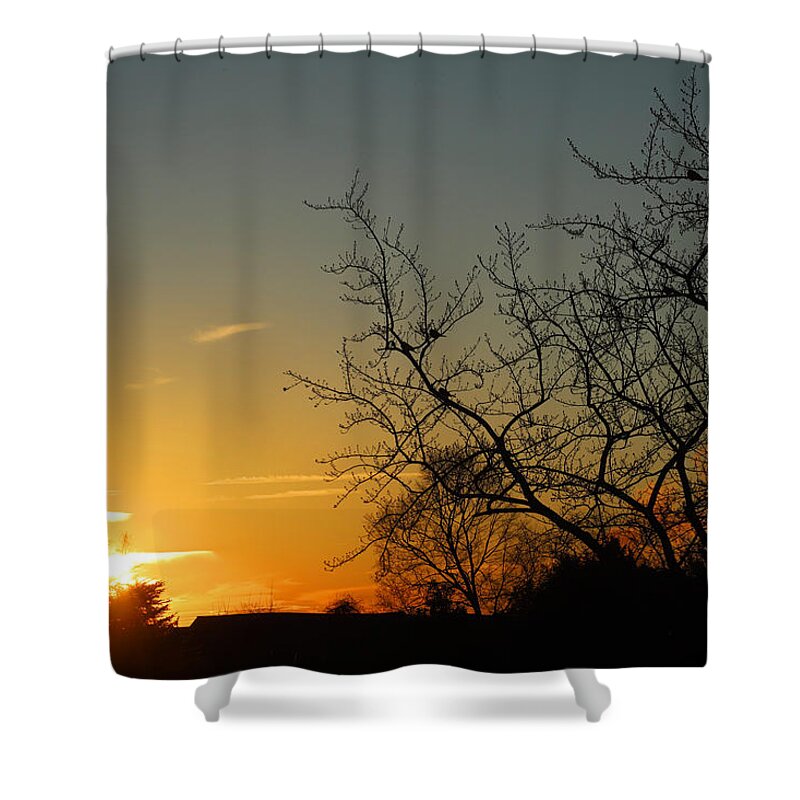 Golden Shower Curtain featuring the photograph Birds at Sunrise January 24 2021 by Miriam A Kilmer