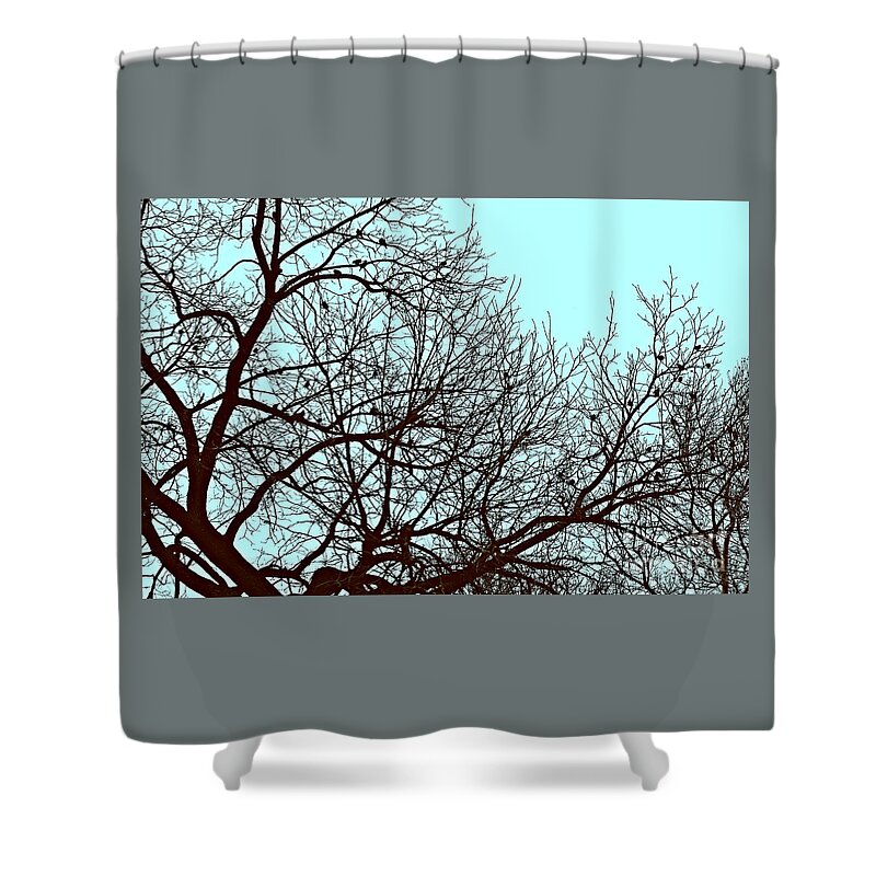 Nature Shower Curtain featuring the photograph Birds in the Silhouetted Tree by Frank J Casella