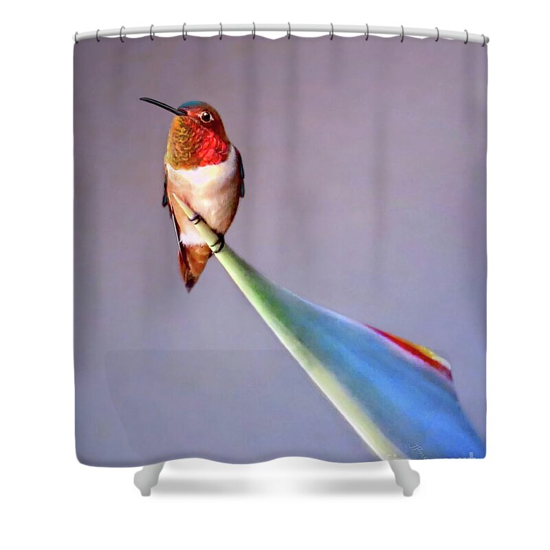 Bird Shower Curtain featuring the photograph Birds of Paradise by Jennie Breeze