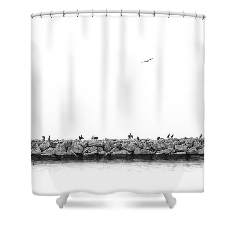 Breakwater Shower Curtain featuring the photograph Birds on a Breakwater in Black and White by Alexios Ntounas