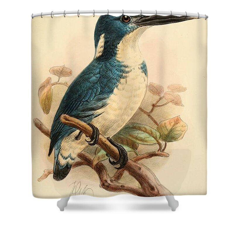 Bird Shower Curtain featuring the mixed media Bismarck Kingfisher, alcyone websteri by World Art Collective