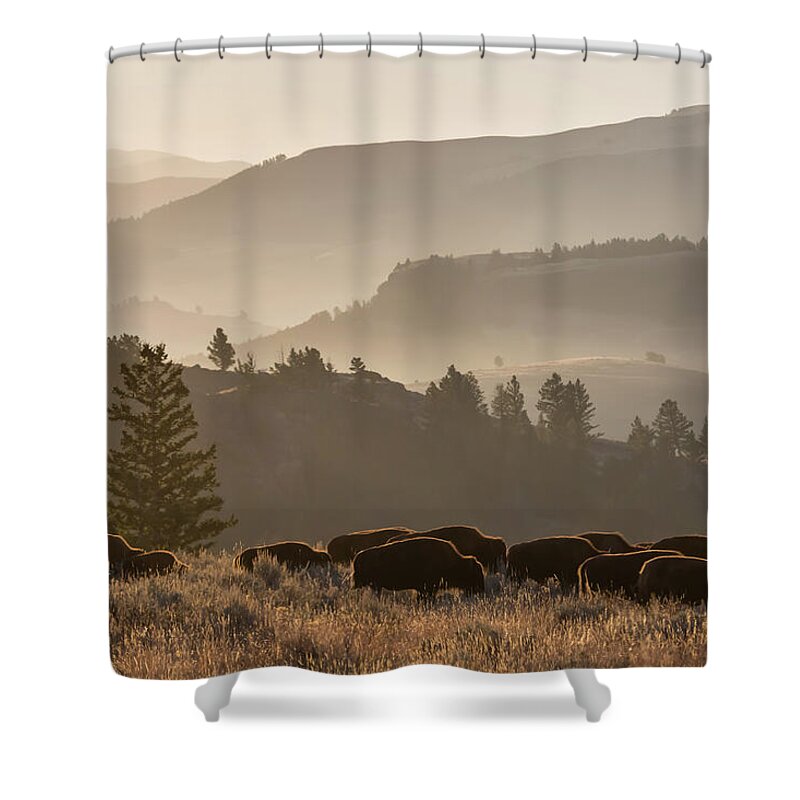 Black Hills National Forest Shower Curtains