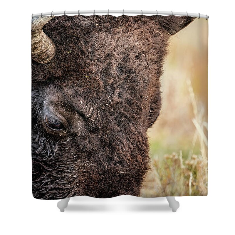 American Bison Shower Curtain featuring the photograph Bison Portrait 2 by Al Andersen