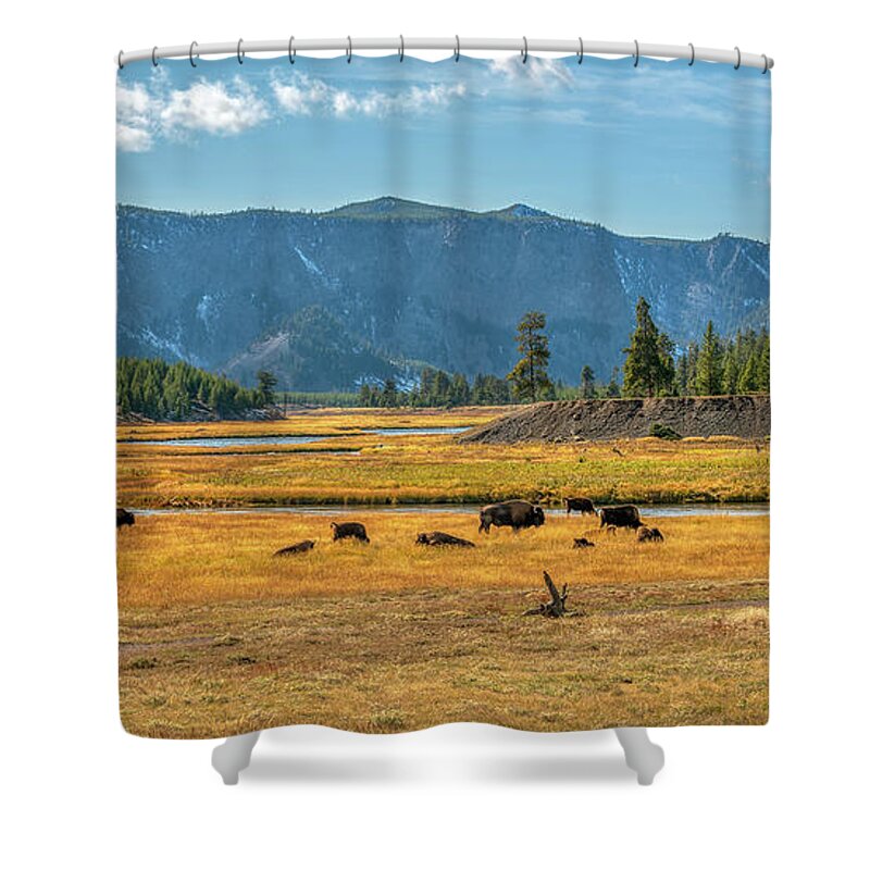 Yellowstone Shower Curtain featuring the photograph Bison Roaming Madison River in Yellowstone by Kenneth Everett