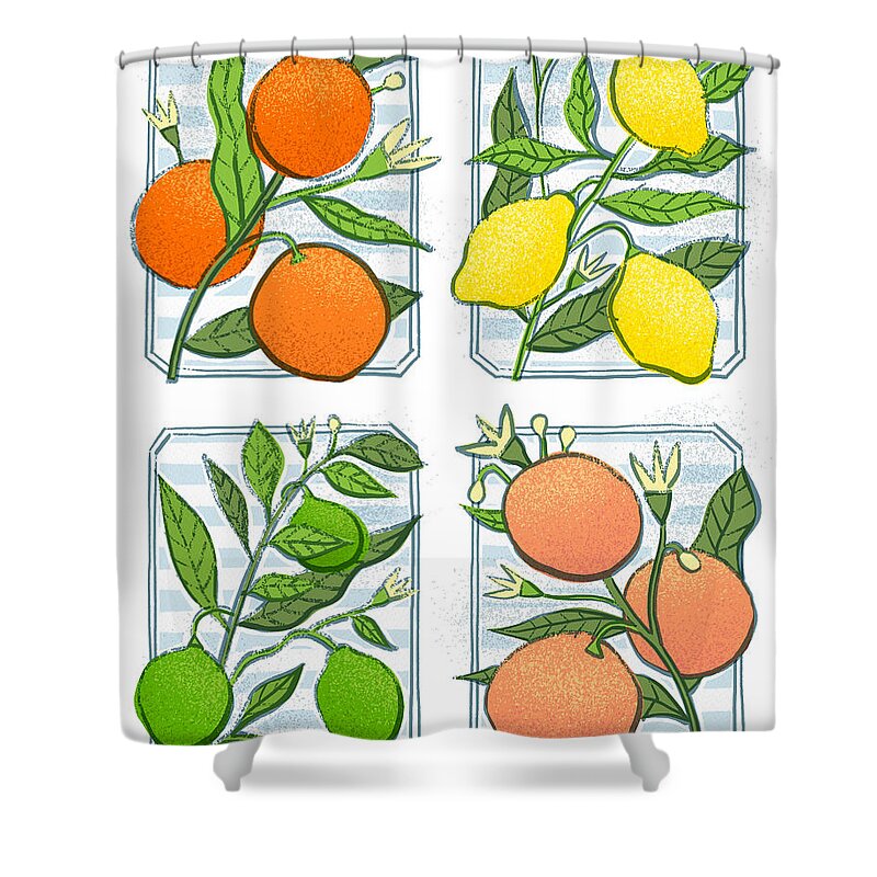 Orange Shower Curtain featuring the painting Bistro Citrus Botanical Art Quad - Orange Lemon Lime Grapefruit - Art by Jen Montgomery by Jen Montgomery