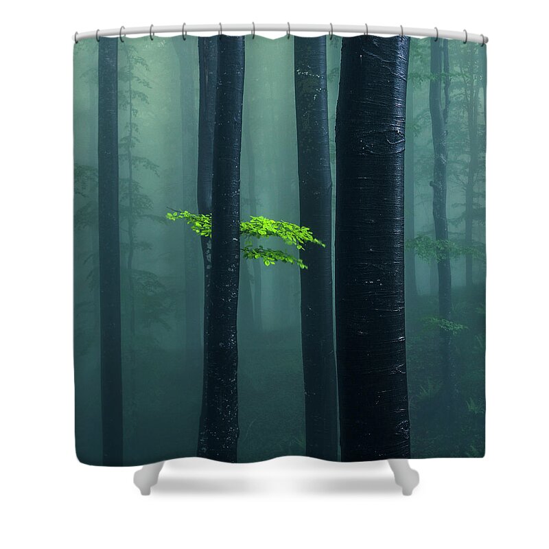 Mountain Shower Curtain featuring the photograph Bit Of Green by Evgeni Dinev