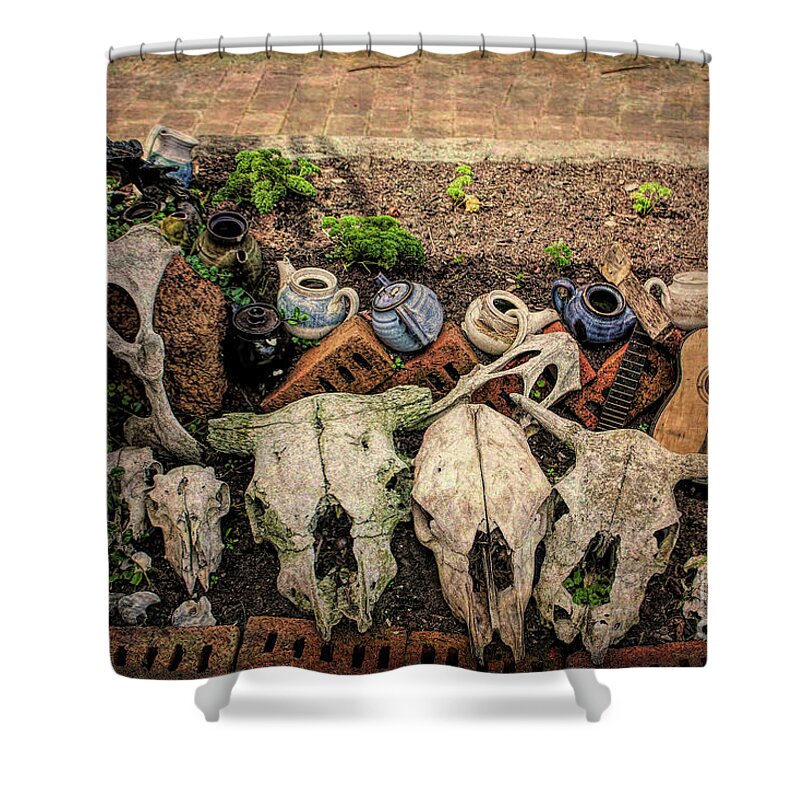 Bridgetown Shower Curtain featuring the photograph Bits and Pieces by Elaine Teague